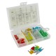coffret de mini fusible cavalier (50 pièces)